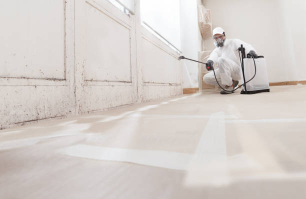 Black mold remediation team in Parker Ford
