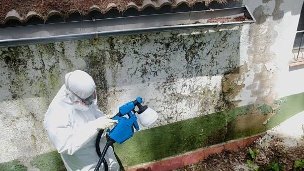 Mold Removal service in Parker Ford